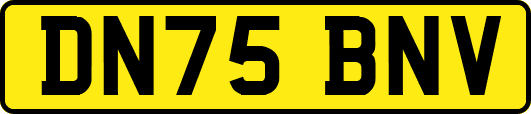 DN75BNV