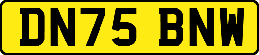 DN75BNW