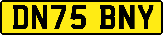 DN75BNY