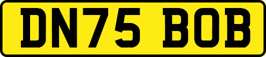 DN75BOB