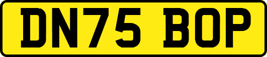 DN75BOP