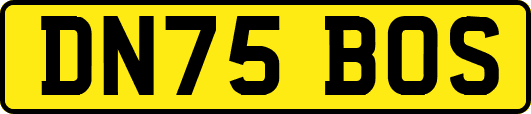 DN75BOS