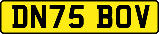 DN75BOV
