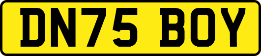 DN75BOY
