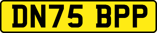 DN75BPP