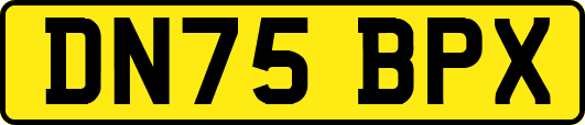 DN75BPX