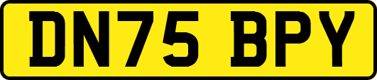 DN75BPY