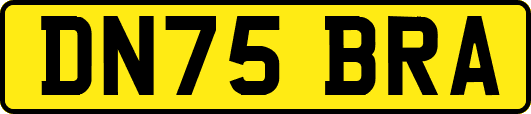 DN75BRA