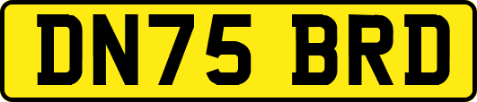 DN75BRD