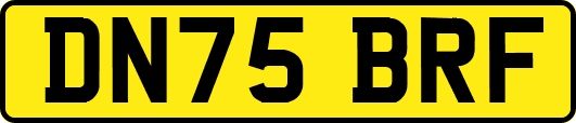 DN75BRF
