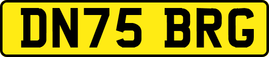 DN75BRG