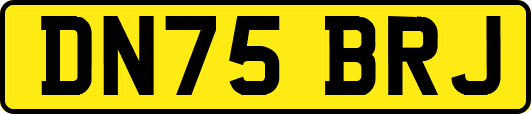 DN75BRJ
