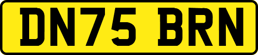 DN75BRN