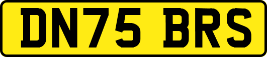 DN75BRS