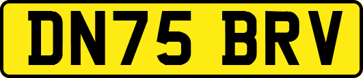 DN75BRV