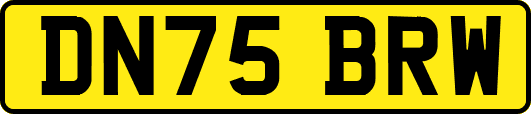 DN75BRW