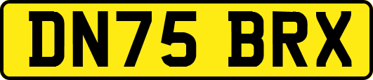 DN75BRX