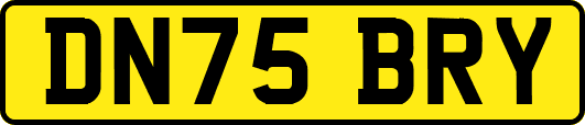 DN75BRY