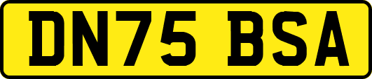 DN75BSA