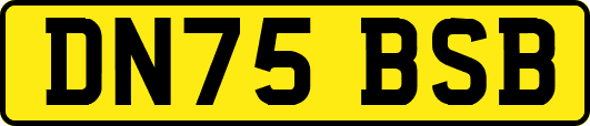 DN75BSB