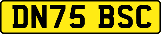 DN75BSC