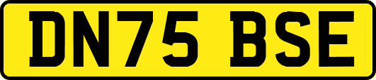 DN75BSE