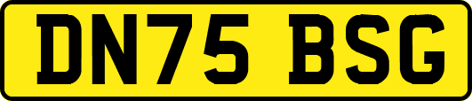 DN75BSG