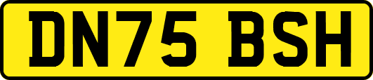 DN75BSH