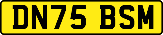 DN75BSM
