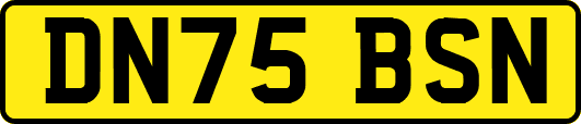 DN75BSN