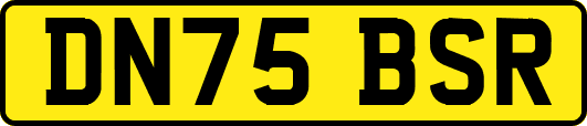 DN75BSR