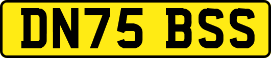 DN75BSS