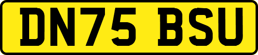 DN75BSU