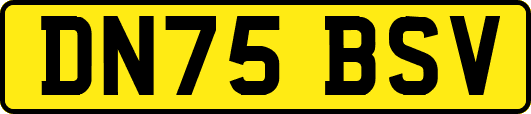 DN75BSV
