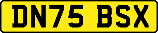 DN75BSX