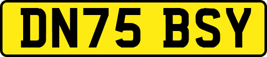 DN75BSY