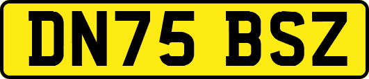 DN75BSZ