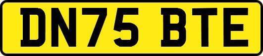 DN75BTE