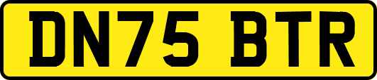 DN75BTR