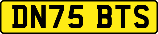 DN75BTS