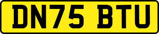 DN75BTU