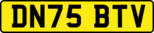 DN75BTV