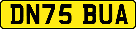 DN75BUA