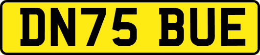 DN75BUE