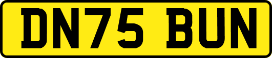 DN75BUN
