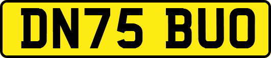 DN75BUO