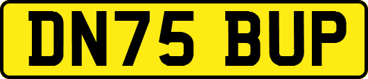 DN75BUP