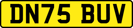 DN75BUV