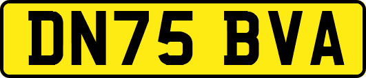 DN75BVA