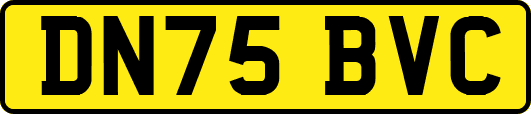 DN75BVC